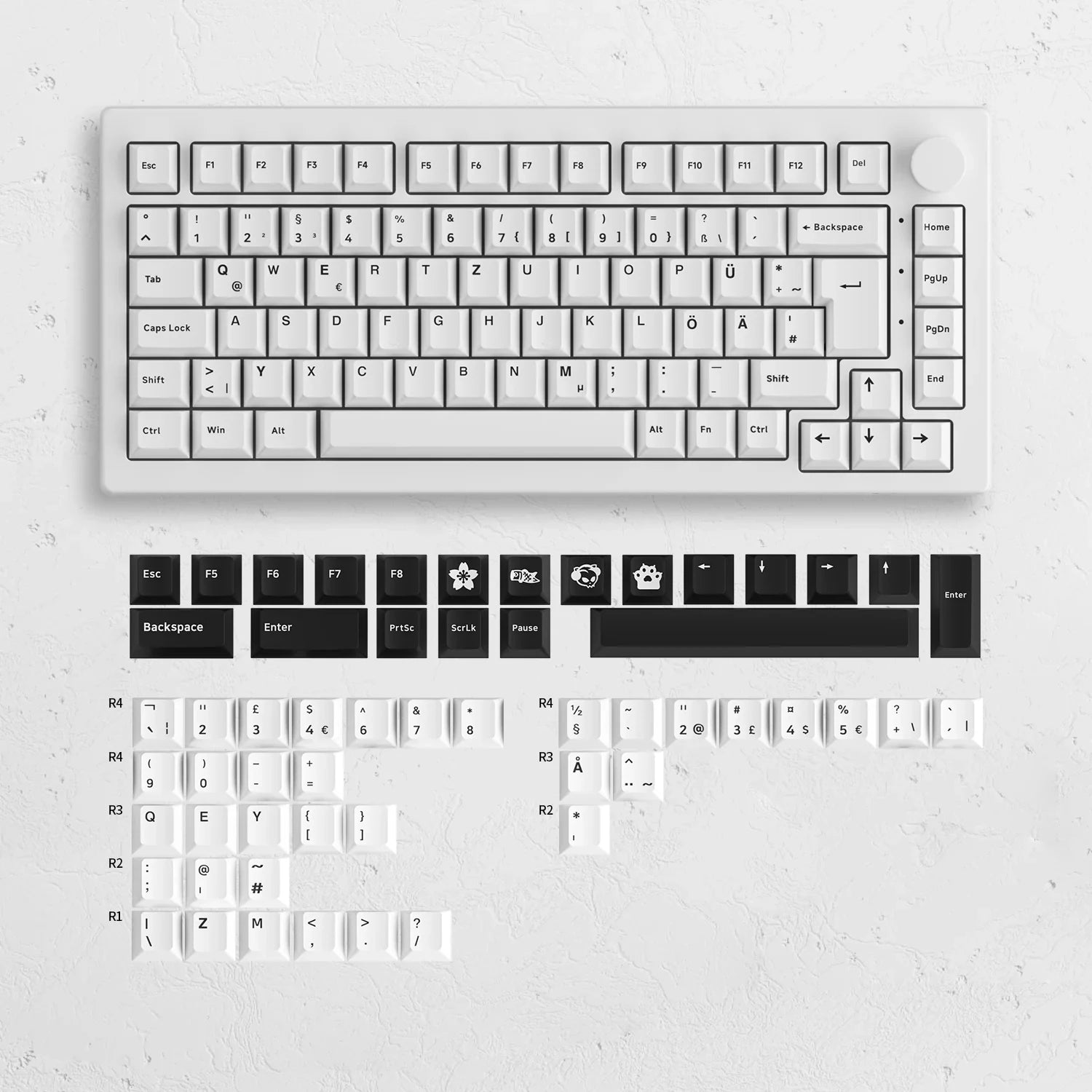 42233916031113|42233916063881