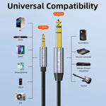 CABLETIME 3.5mm to 6.35mm Audio Adapter Cable