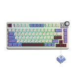 AULA AU75 Hot-Swappable Mechanical Keyboard