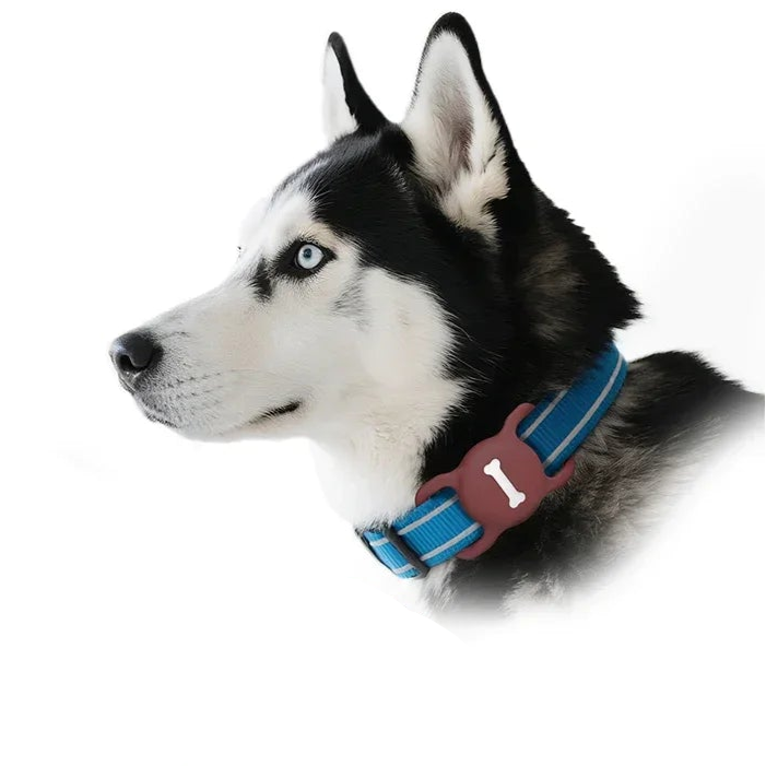 Apple AirTag Pet Collar Case