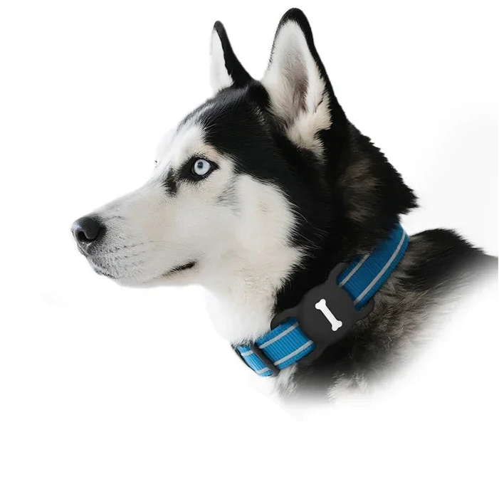 Apple AirTag Pet Collar Case