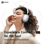 Picun F5 Over-Ear Wireless Headphones