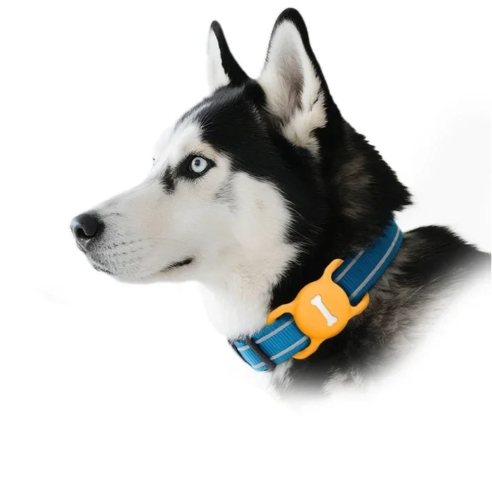 Apple AirTag Pet Collar Case