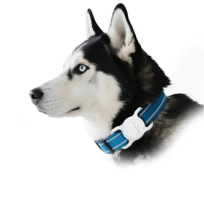 Apple AirTag Pet Collar Case