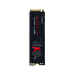 HUADISK M.2 PCIe NVMe SSD
