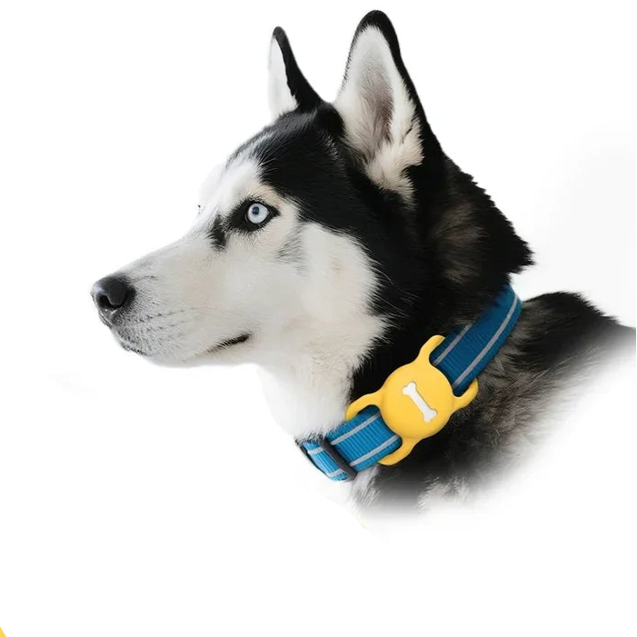 Apple AirTag Pet Collar Case