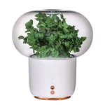 Ultrasonic Aromatherapy Diffuser and Air Humidifier With LED Light
