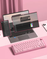 Womier VK66 PRO Gasket Mount RGB Gaming Keyboard