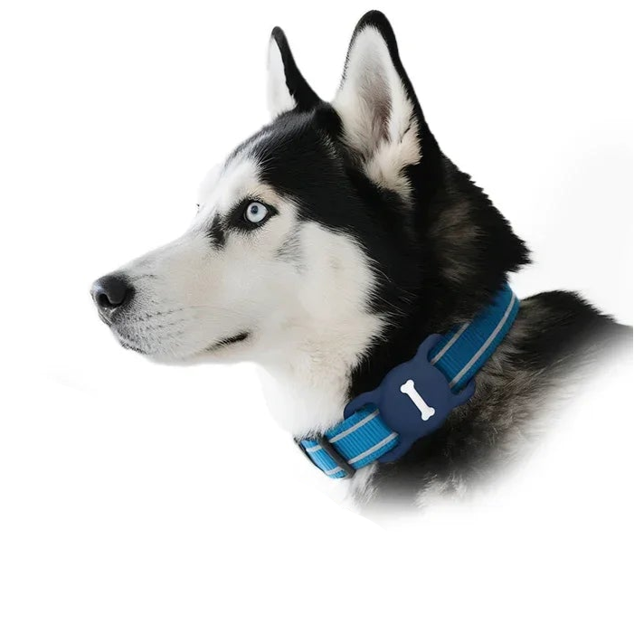 Apple AirTag Pet Collar Case