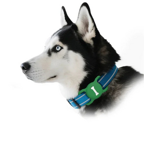 Apple AirTag Pet Collar Case