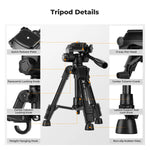 K&F Concept Compact Desk Tripod with Remote