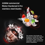 BioloMix Professional 2200W Blender