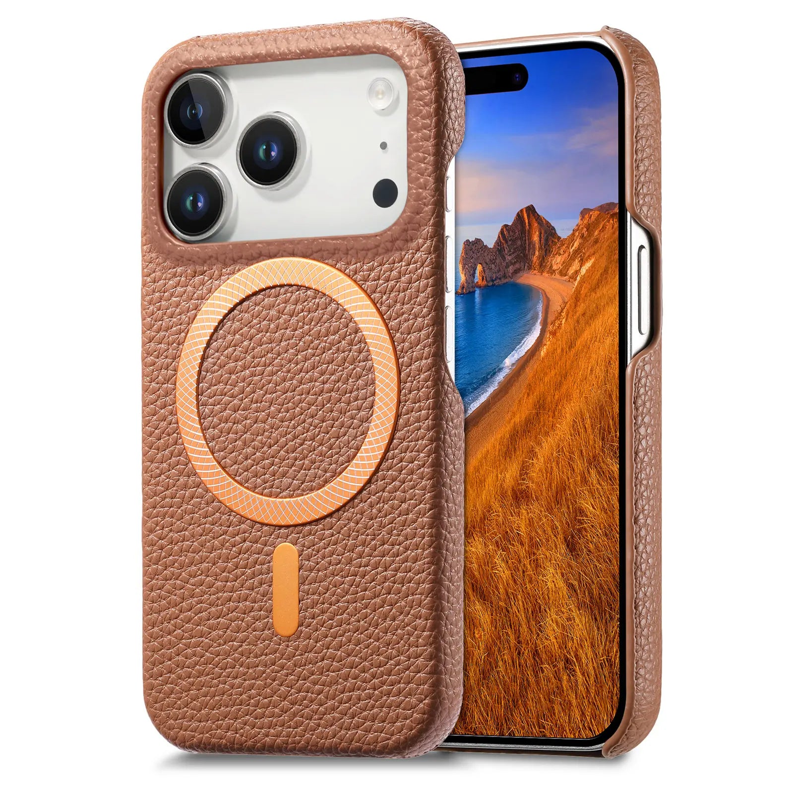 Business Lychee Grain Leather MagSafe Case for iPhone 17 Series