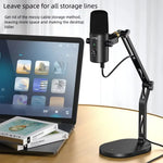 Adjustable Two-Stage Boom Arm Microphone Stand