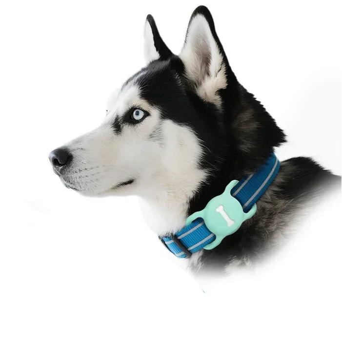 Apple AirTag Pet Collar Case