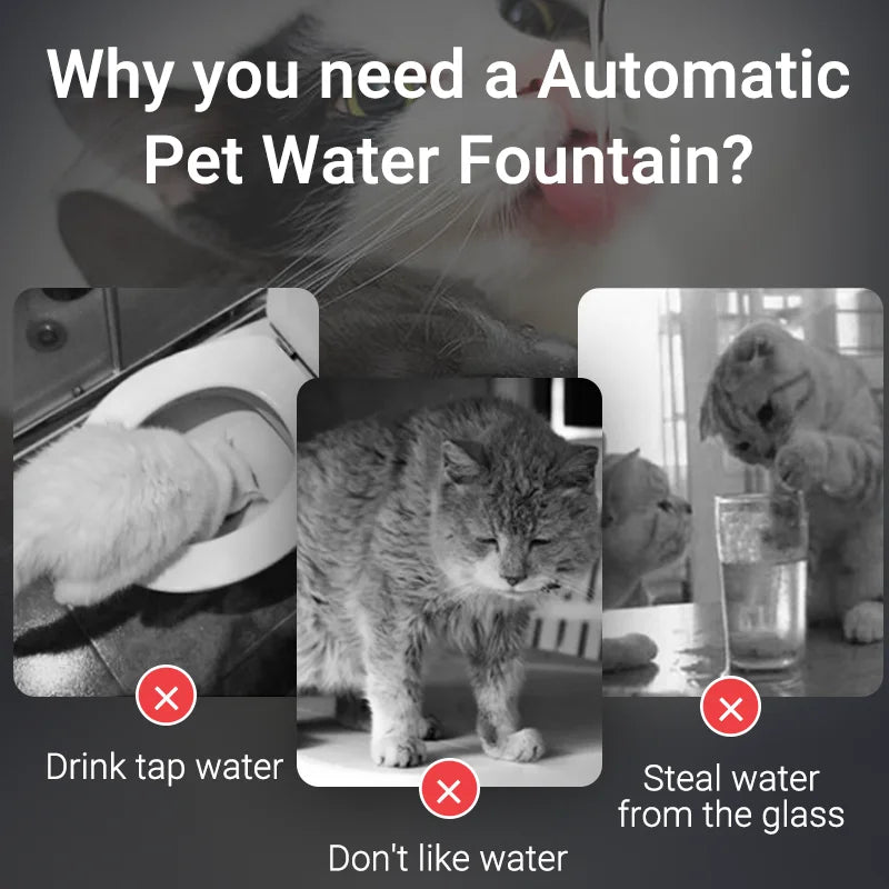 ROJECO Dual-Filter Smart Cat Water Fountain