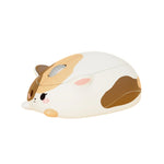 Akko Cat-Themed Wireless Mouse