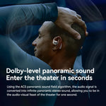 Sanag C16S Bluetooth 5.4 Ear Hook Headphones