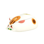 Akko Cat-Themed Wireless Mouse