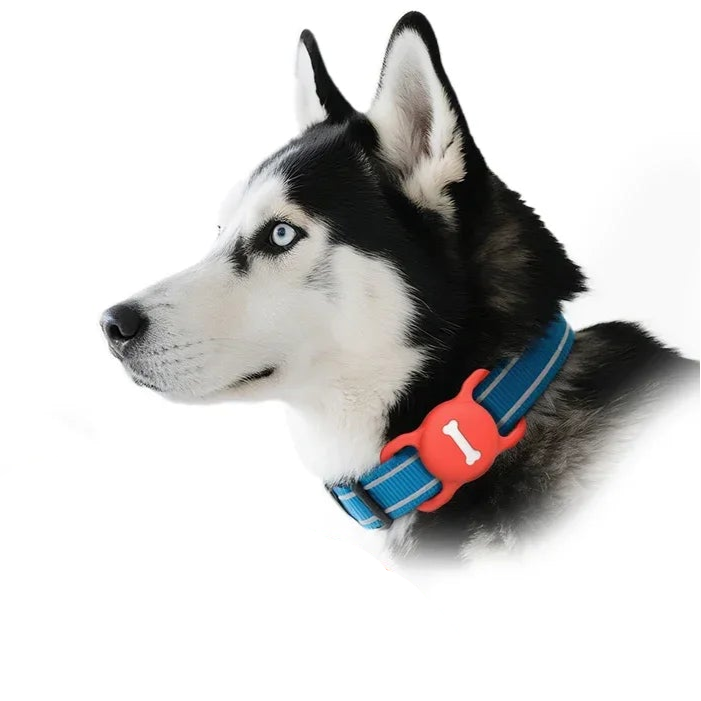 Apple AirTag Pet Collar Case