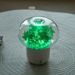Ultrasonic Aromatherapy Diffuser and Air Humidifier With LED Light