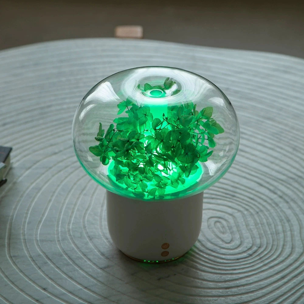 Ultrasonic Aromatherapy Diffuser and Air Humidifier With LED Light