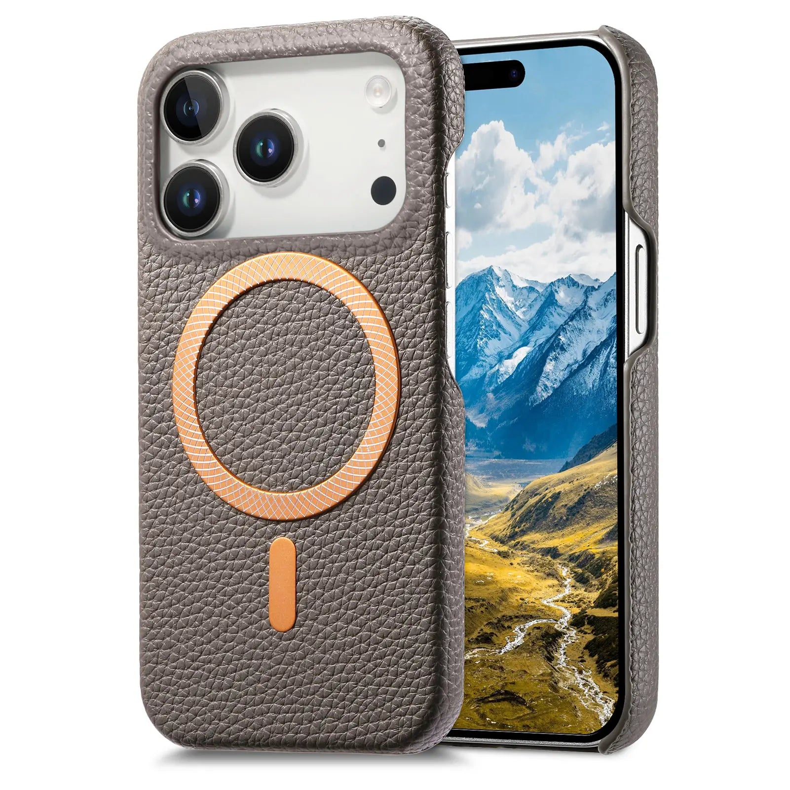 Business Lychee Grain Leather MagSafe Case for iPhone 17 Series