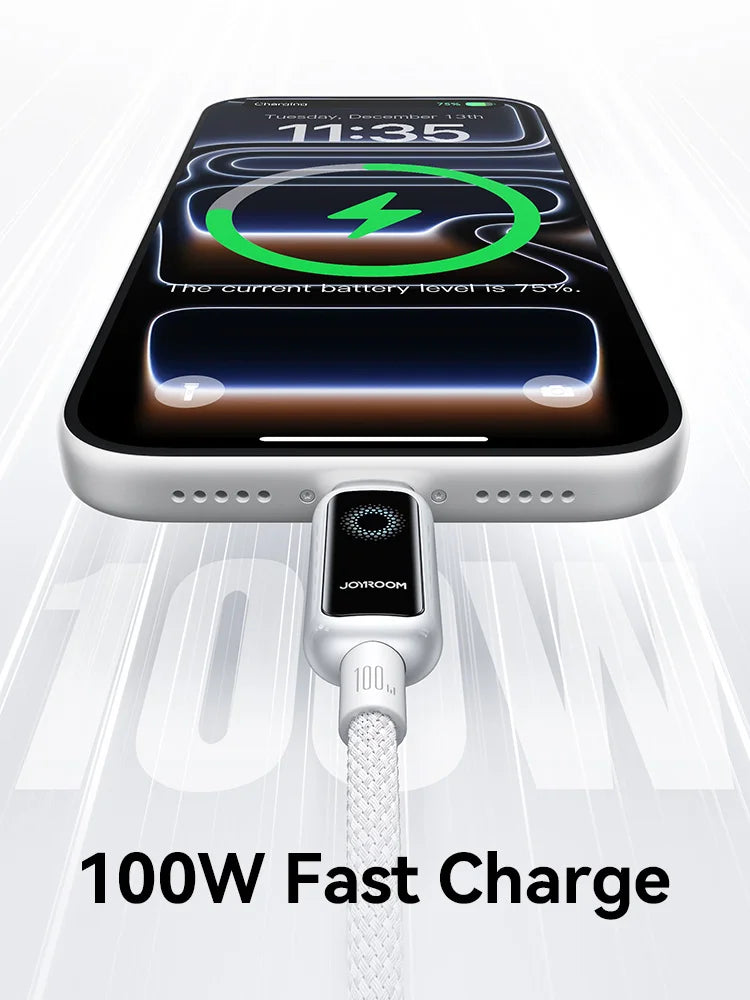Joyroom 100W Fast Charging USB-C to C Cable