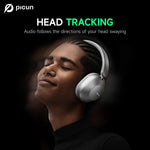 Picun F6 Active Noise Cancelling Bluetooth Headset
