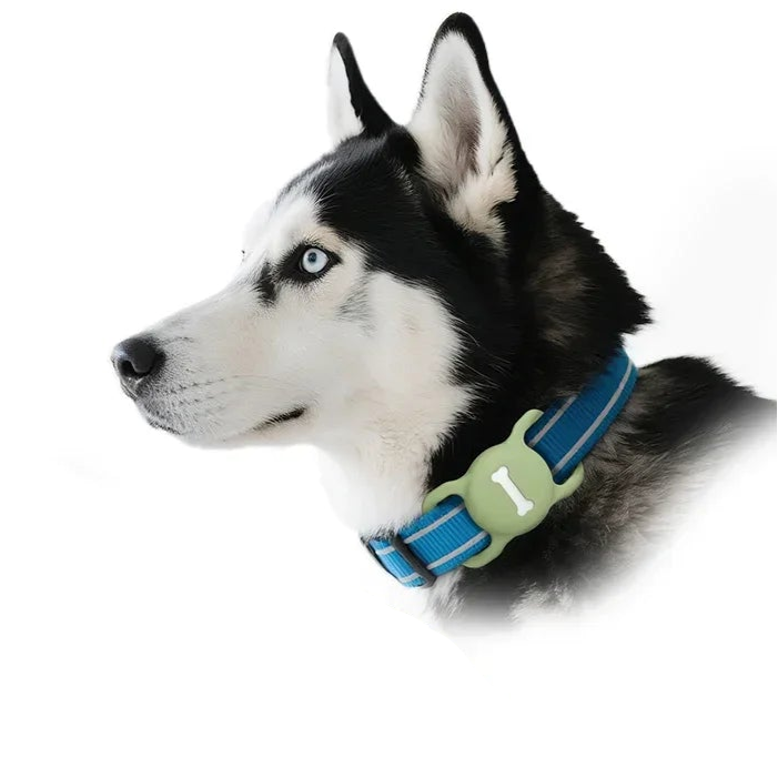 Apple AirTag Pet Collar Case