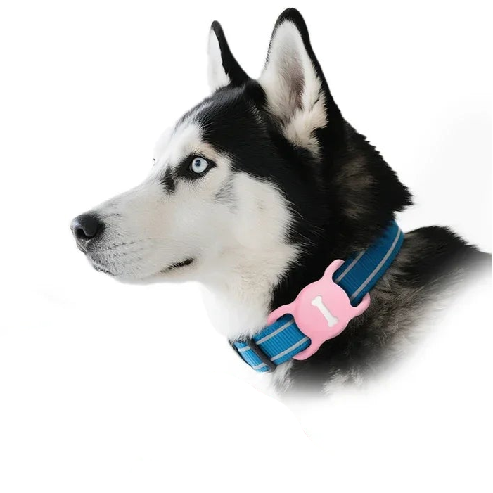 Apple AirTag Pet Collar Case