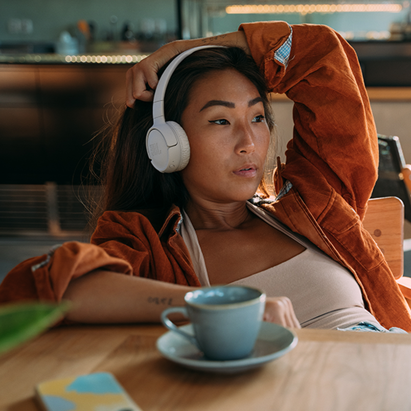 JBL Tune 520BT Bluetooth Headphones